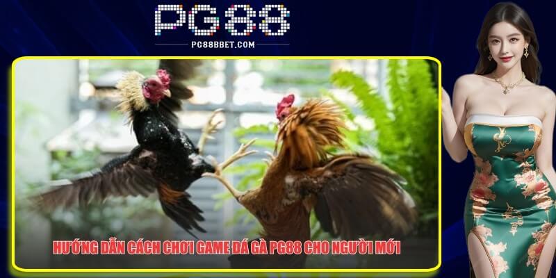 Mẹo chơi game đá gà PG88 chi tiết cho tân binh