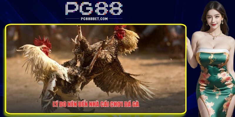 Một vài lý do bạn nên chơi game tại nhà cái