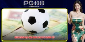Tìm hiểu sâu về cách đọc kèo bóng đá chuẩn