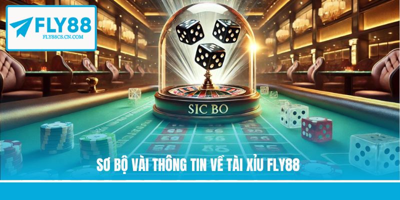 Sơ bộ vài thông tin về tài xỉu Fly88