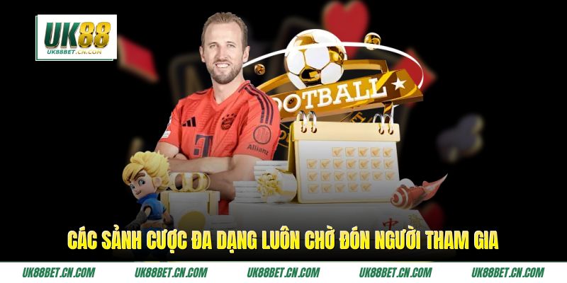 Các sảnh cược đa dạng luôn chờ đón người tham gia
